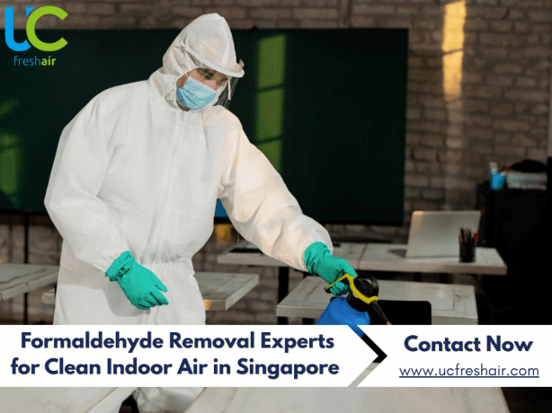 When a Formaldehyde Removal Spray Becomes More Than a Quick Fix?